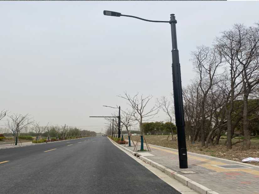 龙陵县上海综合杆 太阳能路灯工程